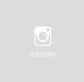 搜素引擎不收录新站因素分析